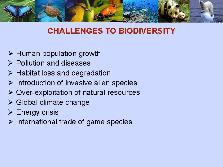 CHALLENGES TO BIODIVERSITY Ø Ø Ø Ø Human population growth Pollution and diseases Habitat