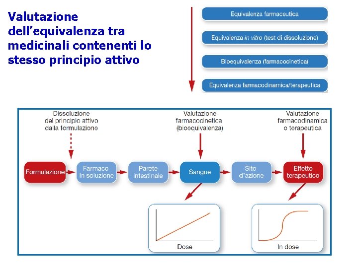 Valutazione dell’equivalenza tra medicinali contenenti lo stesso principio attivo 