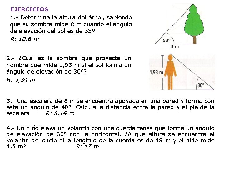 EJERCICIOS 1. - Determina la altura del árbol, sabiendo que su sombra mide 8