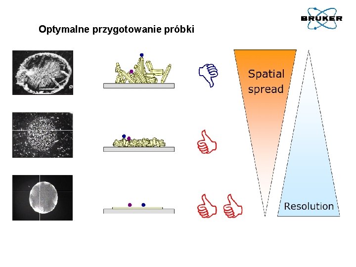 Optymalne przygotowanie próbki 