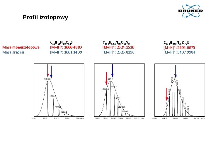 Profil izotopowy Masa monoizotopowa Masa średnia C 41 H 69 N 13 O 14