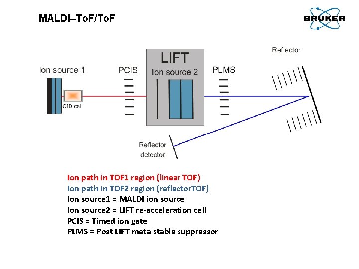 MALDI–To. F/To. F Ion path in TOF 1 region (linear TOF) Ion path in