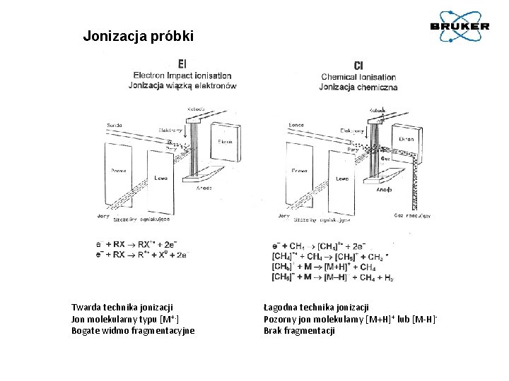 Jonizacja próbki Twarda technika jonizacji Jon molekularny typu [M+. ] Bogate widmo fragmentacyjne Łagodna