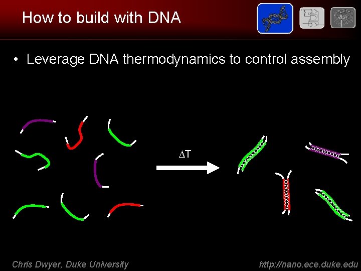How to build with DNA • Leverage DNA thermodynamics to control assembly T Chris