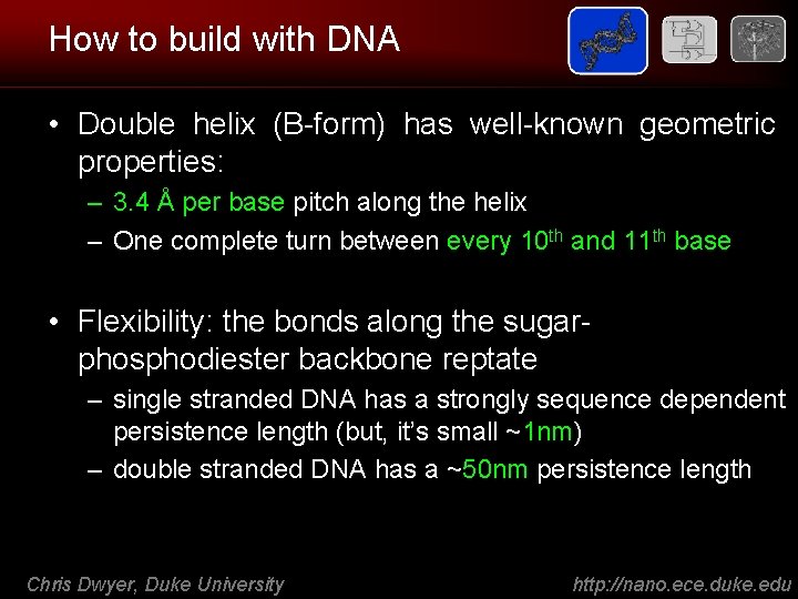 How to build with DNA • Double helix (B-form) has well-known geometric properties: –