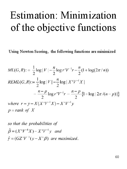 Estimation: Minimization of the objective functions Using Newton Scoring, the following functions are minimized