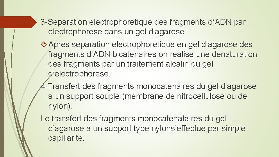 3 -Separation electrophoretique des fragments d’ADN par electrophorese dans un gel d’agarose. Apres separation