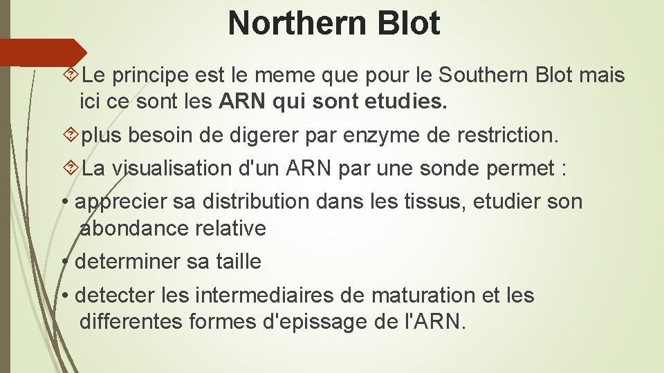 Northern Blot Le principe est le meme que pour le Southern Blot mais ici