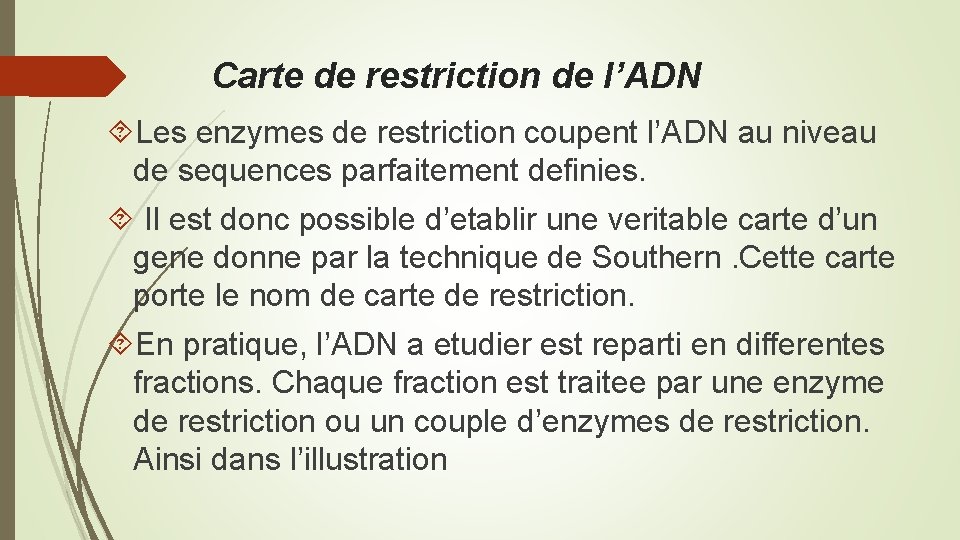 Carte de restriction de l’ADN Les enzymes de restriction coupent l’ADN au niveau de