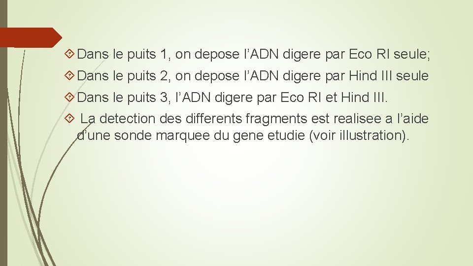  Dans le puits 1, on depose l’ADN digere par Eco RI seule; Dans