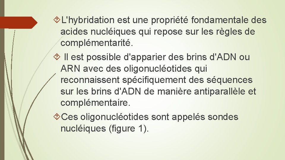  L'hybridation est une propriété fondamentale des acides nucléiques qui repose sur les règles