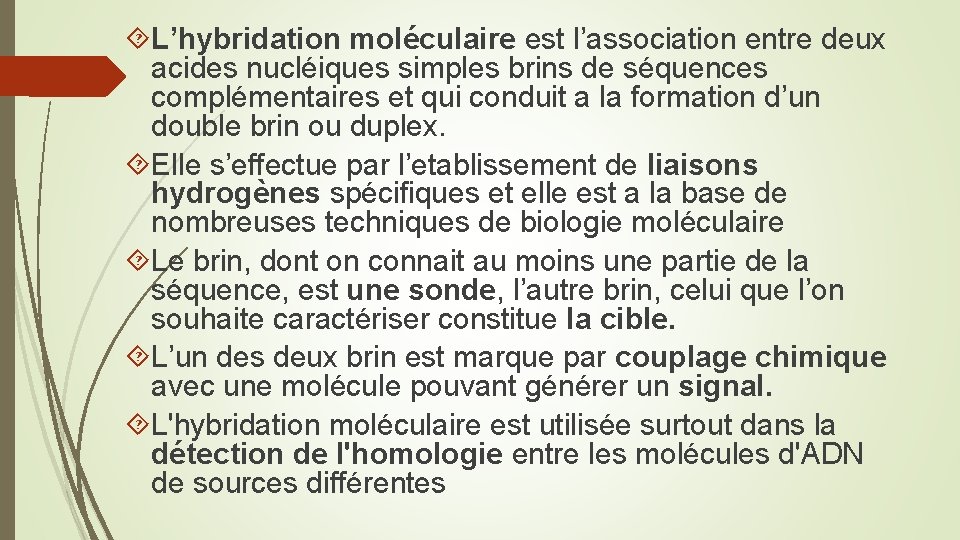  L’hybridation moléculaire est l’association entre deux acides nucléiques simples brins de séquences complémentaires