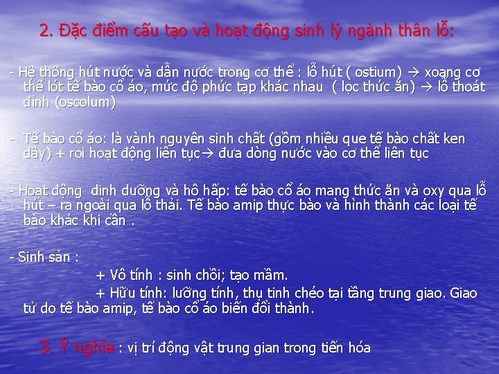 2. Đặc điểm cấu tạo và hoạt động sinh lý ngành thân lỗ: -