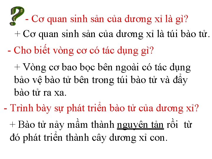 - Cơ quan sinh sản của dương xỉ là gì? + Cơ quan sinh