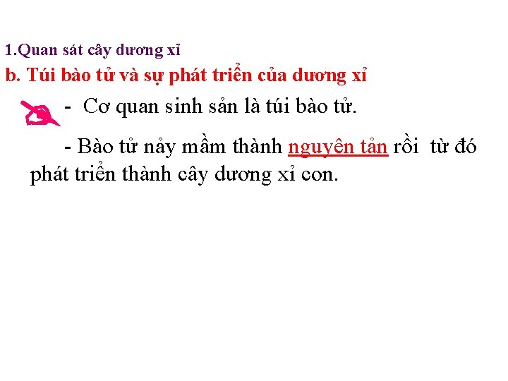 1. Quan sát cây dương xỉ b. Túi bào tử và sự phát triển