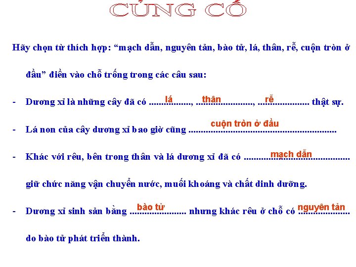 Hãy chọn từ thích hợp: “mạch dẫn, nguyên tản, bào tử, lá, thân, rễ,