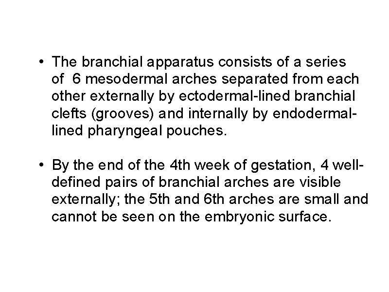  • The branchial apparatus consists of a series of 6 mesodermal arches separated