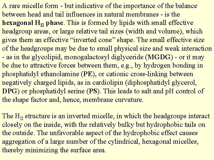 A rare micelle form - but indicative of the importance of the balance between