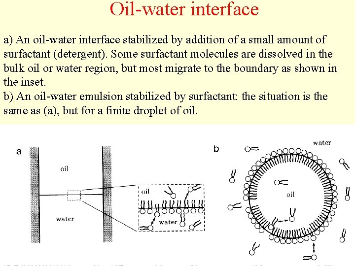 Oil-water interface a) An oil-water interface stabilized by addition of a small amount of