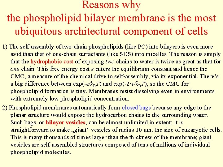 Reasons why the phospholipid bilayer membrane is the most ubiquitous architectural component of cells