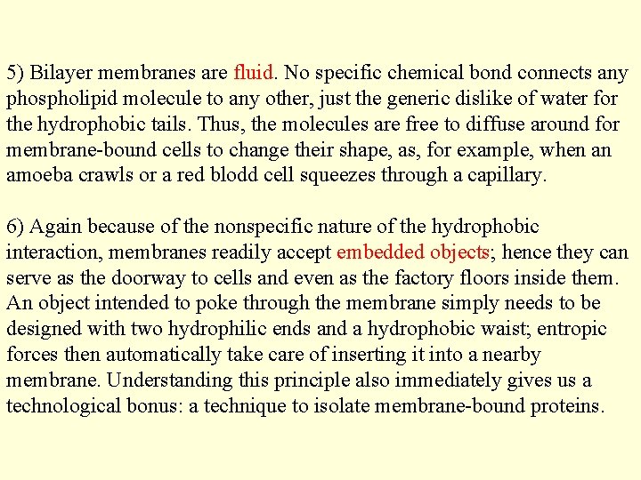 5) Bilayer membranes are fluid. No specific chemical bond connects any phospholipid molecule to
