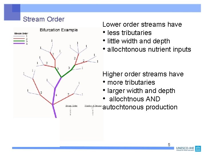 Stream Order Lower order streams have • less tributaries • little width and depth