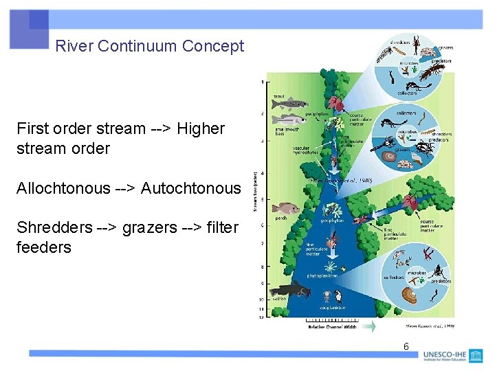 River Continuum Concept First order stream --> Higher stream order Allochtonous --> Autochtonous Shredders