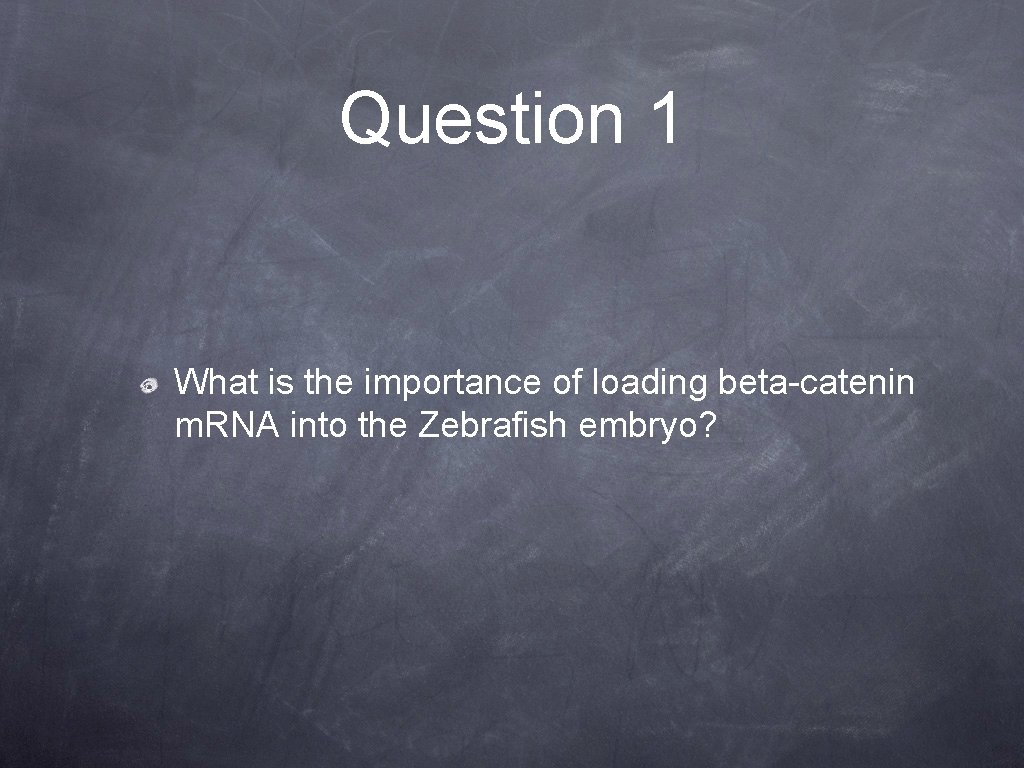 Question 1 What is the importance of loading beta-catenin m. RNA into the Zebrafish