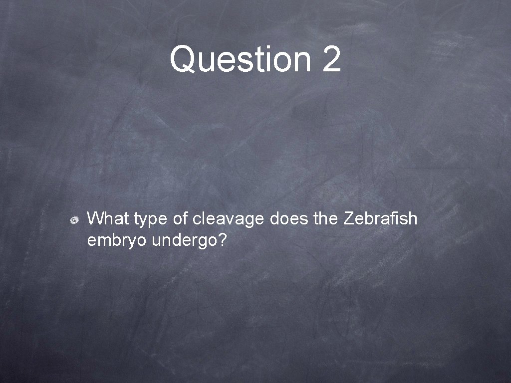 Question 2 What type of cleavage does the Zebrafish embryo undergo? 