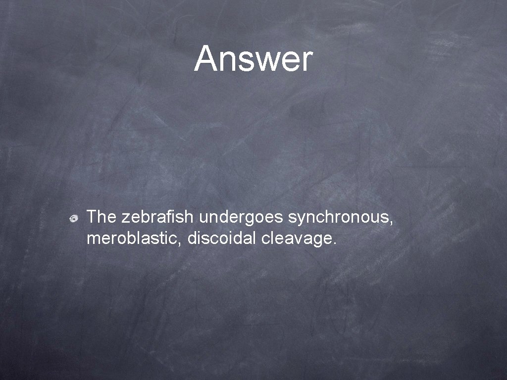 Answer The zebrafish undergoes synchronous, meroblastic, discoidal cleavage. 