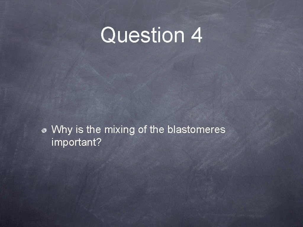 Question 4 Why is the mixing of the blastomeres important? 
