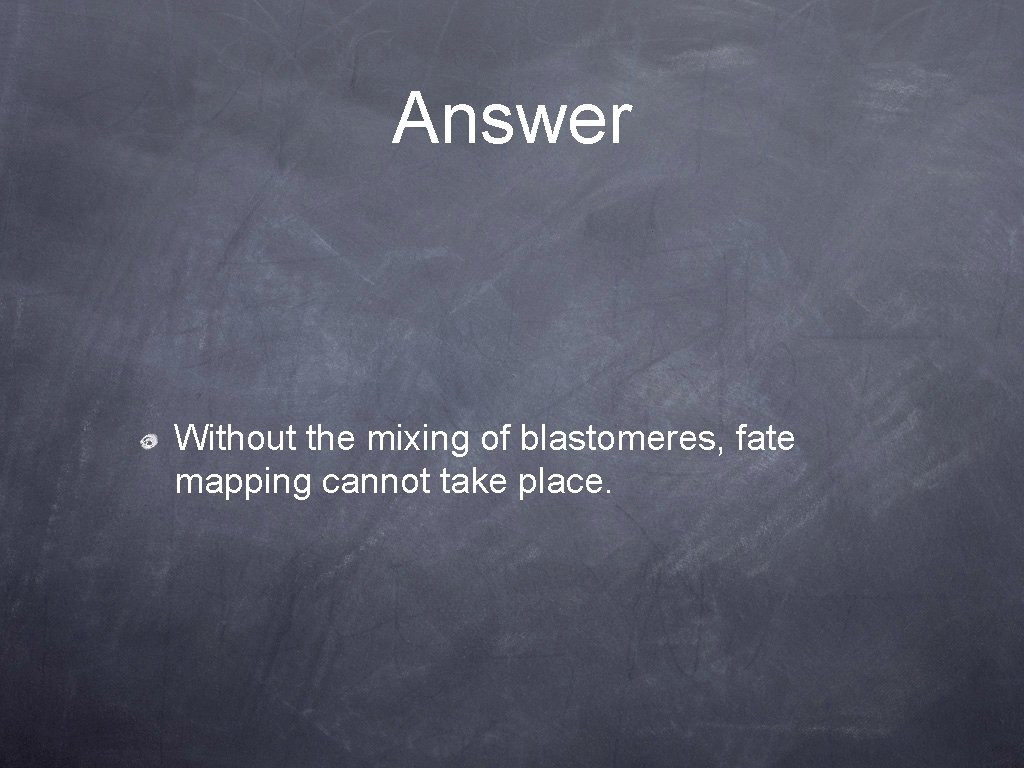 Answer Without the mixing of blastomeres, fate mapping cannot take place. 