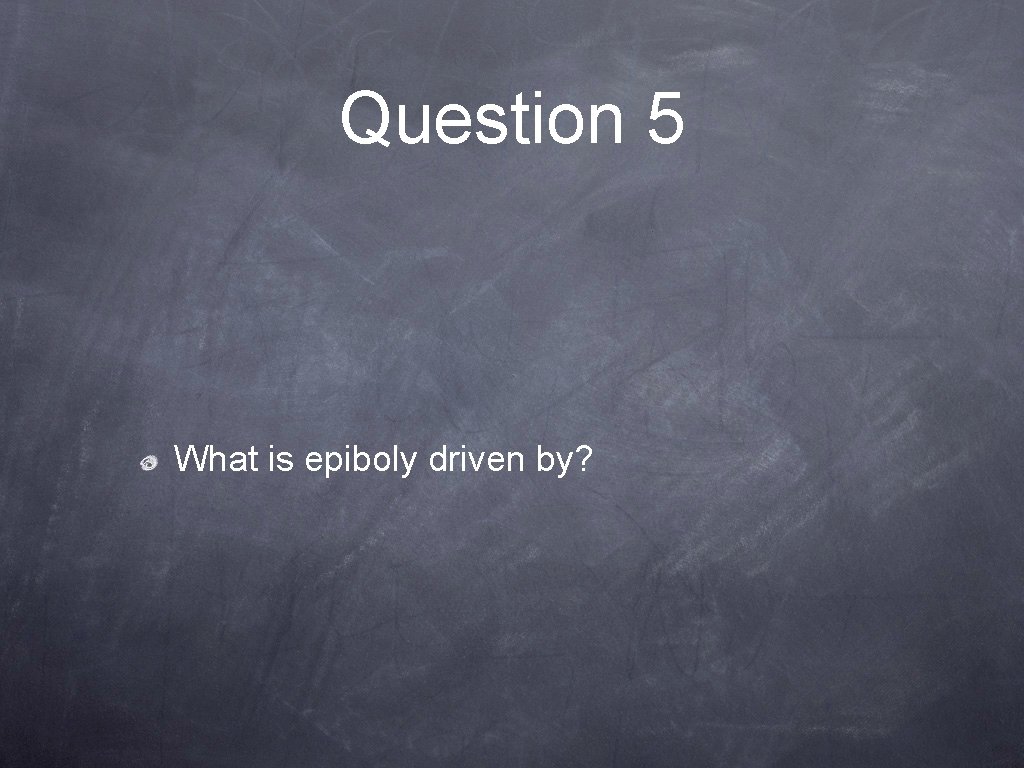 Question 5 What is epiboly driven by? 