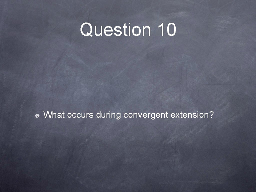 Question 10 What occurs during convergent extension? 
