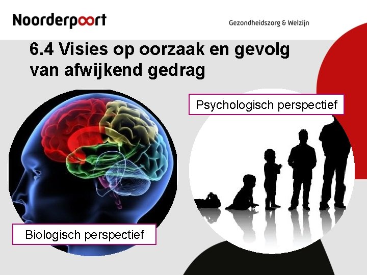 6. 4 Visies op oorzaak en gevolg van afwijkend gedrag Psychologisch perspectief Biologisch perspectief