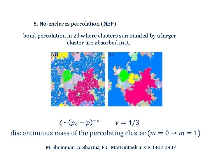 5. No-enclaves percolation (NEP) bond percolation in 2 d where clusters surrounded by a