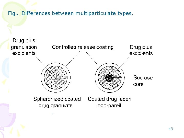 Fig . Differences between multiparticulate types. 43 