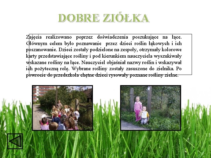 DOBRE ZIÓŁKA Zajęcia realizowano poprzez doświadczenia poszukujące na łące. Głównym celem było poznawanie przez