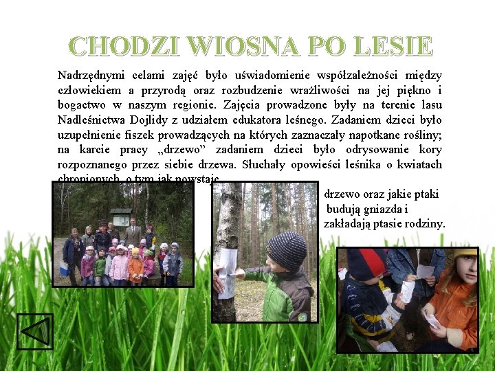 CHODZI WIOSNA PO LESIE Nadrzędnymi celami zajęć było uświadomienie współzależności między człowiekiem a przyrodą