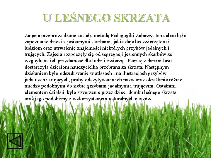 U LEŚNEGO SKRZATA Zajęcia przeprowadzone zostały metodą Pedagogiki Zabawy. Ich celem było zapoznanie dzieci