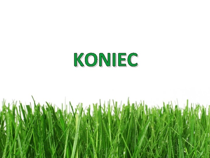 KONIEC 