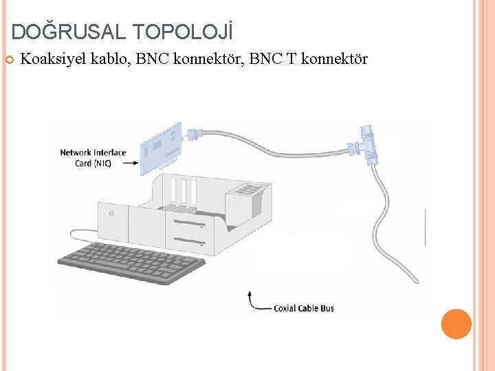 DOĞRUSAL TOPOLOJİ Koaksiyel kablo, BNC konnektör, BNC T konnektör 