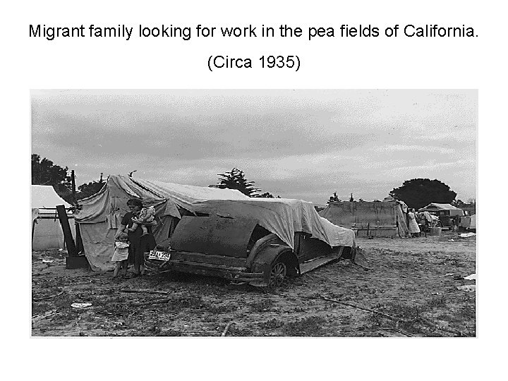Migrant family looking for work in the pea fields of California. (Circa 1935) 