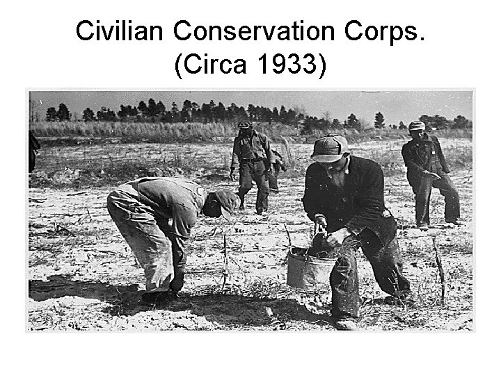 Civilian Conservation Corps. (Circa 1933) 