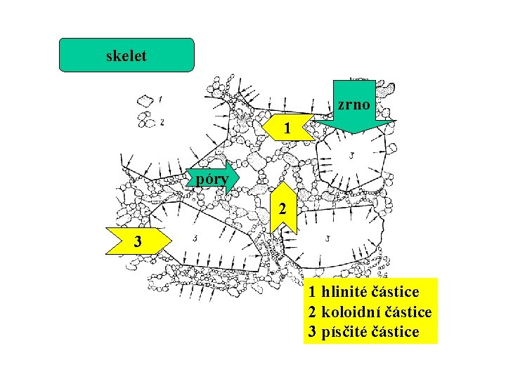 skelet zrno 1 póry 2 3 1 hlinité částice 2 koloidní částice 3 písčité