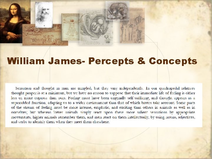 William James- Percepts & Concepts 