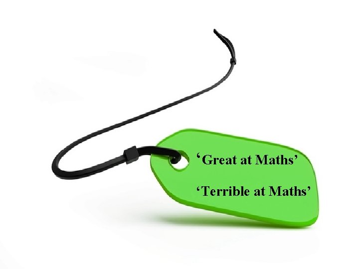 ‘Great at Maths’ ‘Terrible at Maths’ 