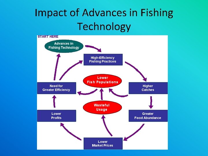 Impact of Advances in Fishing Technology 