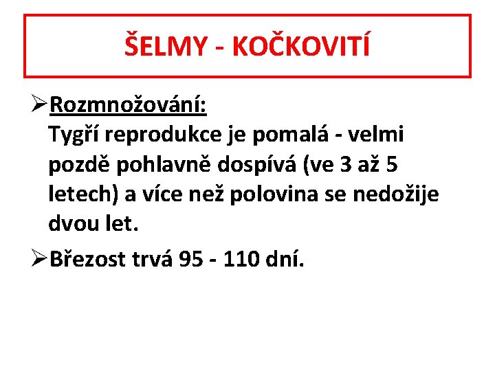 ŠELMY - KOČKOVITÍ ØRozmnožování: Tygří reprodukce je pomalá - velmi pozdě pohlavně dospívá (ve