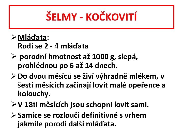 ŠELMY - KOČKOVITÍ Ø Mláďata: Rodí se 2 - 4 mláďata Ø porodní hmotnost